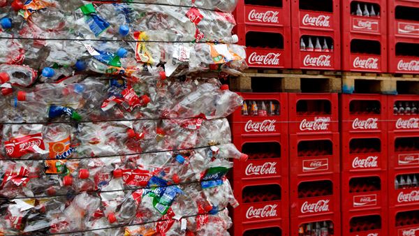 pet-recycling