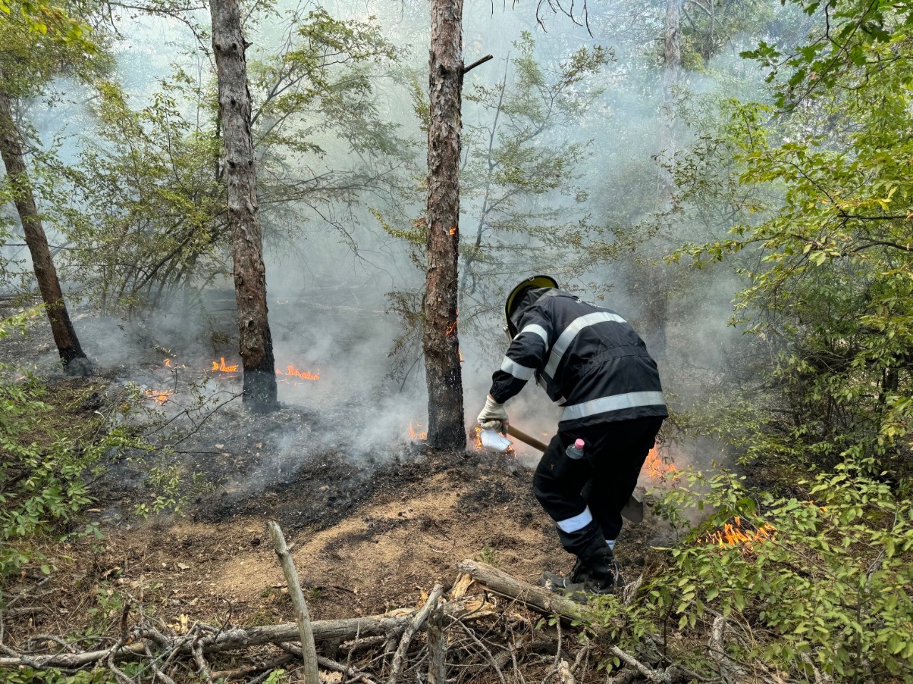 fires_dobrovol_sm