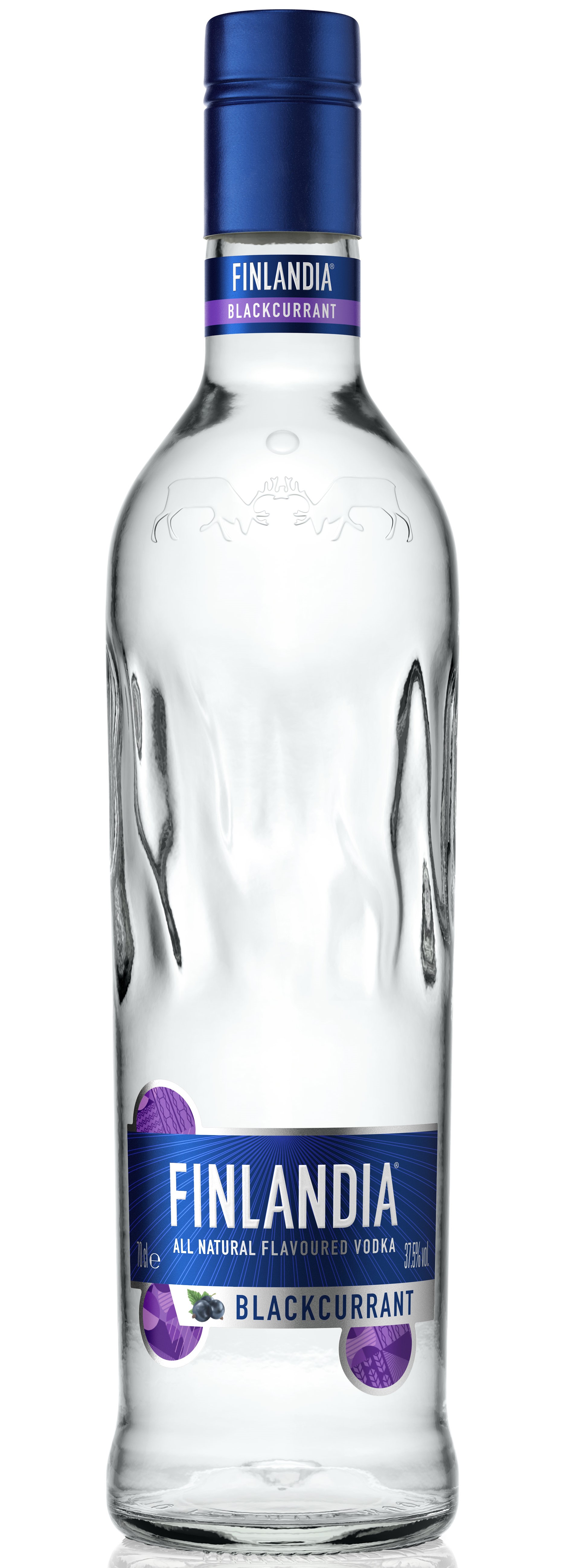 FINLANDIA BLACKCURRANT Bottle_sm2