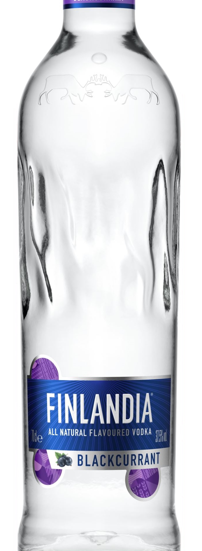 FINLANDIA Blackcurrant Bottle_sm