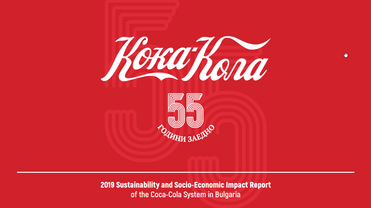 SEIS Report 2019 ENG